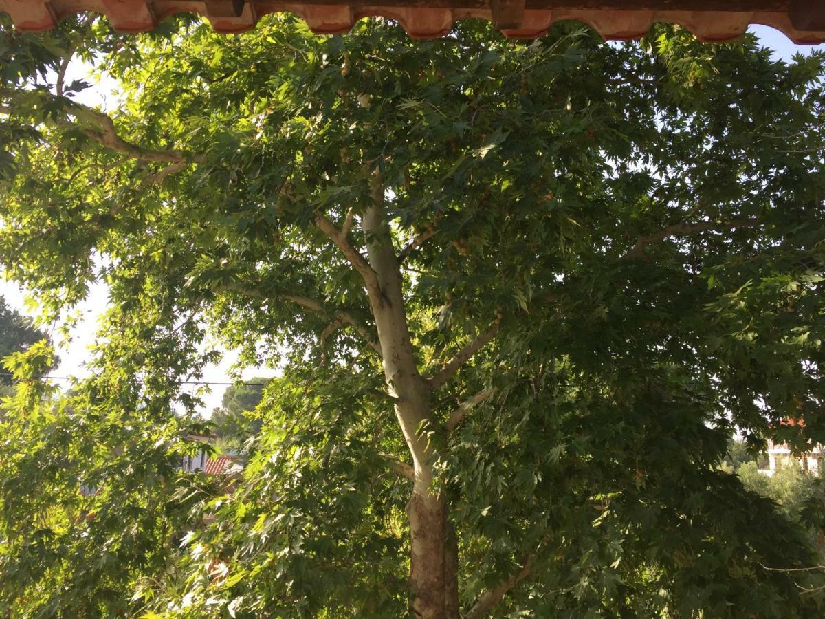 La Maison Des Vacances Vourvourou Dış mekan fotoğraf